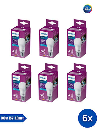 Philips Mycare LED Lamba 13W - 100W 6500K Beyaz Işık 1521 Lümen Yüksek Işık  ( 6 ADET ) 