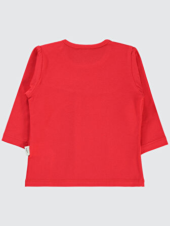 Civil Baby Kız Bebek Penye Sweatshirt 6-18 Ay Kırmızı