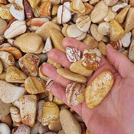 Sarı Çizgili Dolomit Taş 3 Kg 2-4 Cm Renkli Dolomit Dekoratif Taş