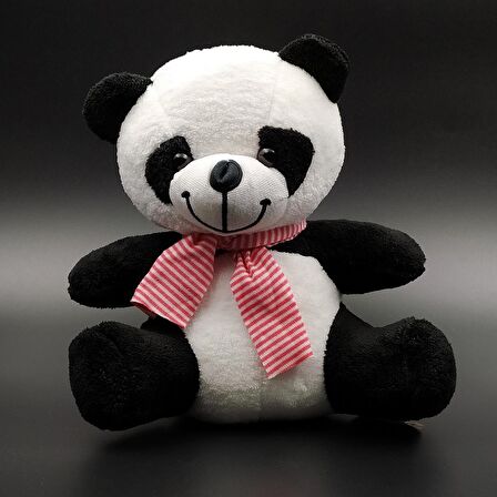 Tatlı Peluş Panda & Sevimli Panda Mini Kar Küre Hediye Seti