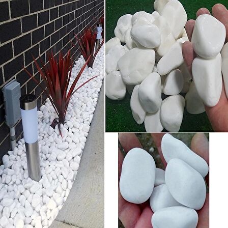 Dolomit Taş 100 Kg 2-4 Cm Beyaz Dere Taşı Çakıl Taşı Bahçe Süs Taş