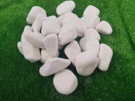 Dolomit Taş 10 Kg 2-4 Cm Beyaz Dere Taşı Çakıl Taşı Bahçe Süs Taş