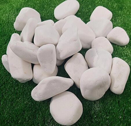 Dolomit Taş 8 Kg 2-4 Cm Beyaz Dere Taşı Çakıl Taşı Bahçe Süs Taş