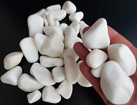 Dolomit Taş 4 Kg 2-4 Cm Beyaz Dere Taşı Çakıl Taşı Bahçe Süs Taş
