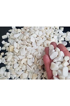 Dolomit Taş 3 Kg 1-2 Cm Beyaz Dere Taşı Çakıl Taşı Bahçe Süs Taşı