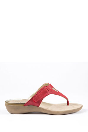 25695 Scholl Croset Kadın Terlik 35-41