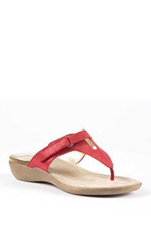 25695 Scholl Croset Kadın Terlik 35-41