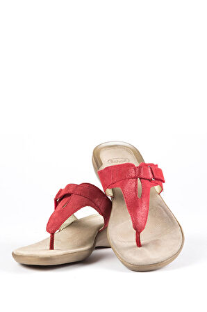 25695 Scholl Croset Kadın Terlik 35-41