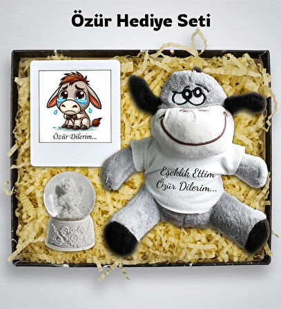 Özür Hediye Seti ( Eşeklik Ettim Özür Dilerim Baskılı Peluş Eşek & Çerçeve & Beyaz Melek Mini Kar Küresi)