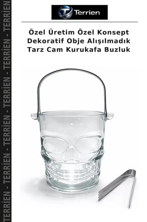 Özel Üretim Özel Konsept Dekoratif Obje Alışılmadık Tarz Cam Kurukafa Buzluk