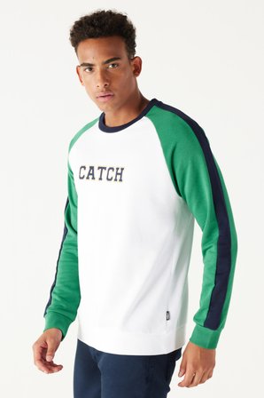 Erkek Beyaz-yeşil Standart Fit Normal Kesim Bisiklet Yaka Pamuklu Çizgili Sweatshirt