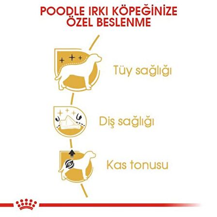 Royal Canin Poodle Yetişkin Kuru Köpek Maması 3kg