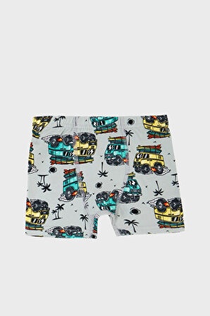 Lela Erkek Çocuk Boxer 6651007ARABA