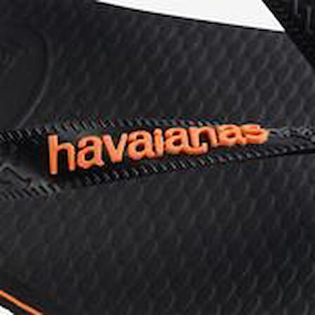 Havaianas Logo Filete Unisex Siyah Terlik