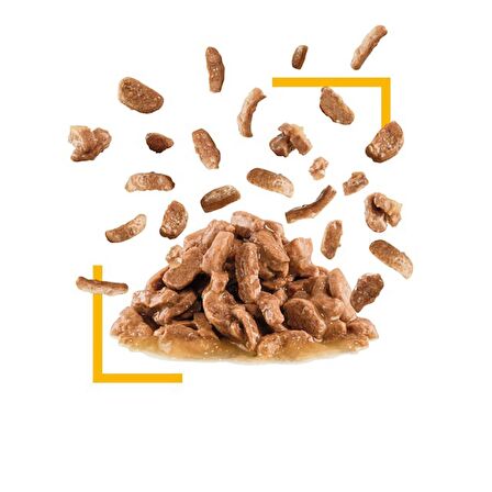 Royal Canin Sensory Tat Duyusu için Sos İçerisinde Yaş Kedi Maması 85g