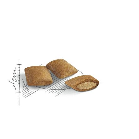 Royal Canin 12 yaş ve Üzeri Kediler için Kuru Kedi Maması 2kg