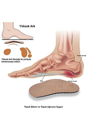 LT02 - Deri Yarım Ortopedik | Ark Destekli, Koku Önleyici ve Ter Emici Hakiki Deri 3/4 İç Tabanlık