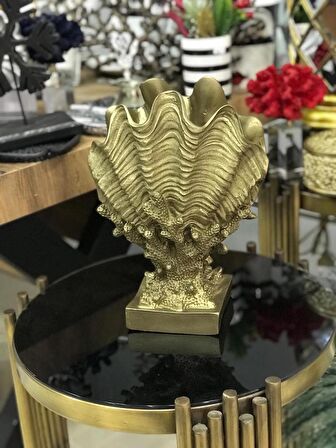 Mercan Üzerinde Deniz Kabuğu Biblo