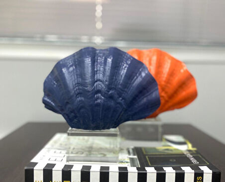 Mercan krıstalli midye istiridye model biblo 