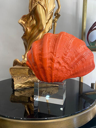 Mercan krıstalli midye istiridye model biblo 