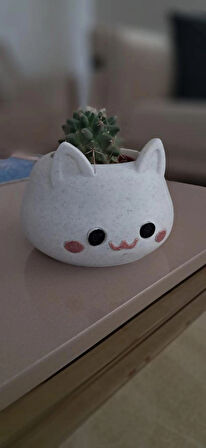 ALPAXA3D Kedi Figürlü Sukulent Saksısı Mermer Desenli