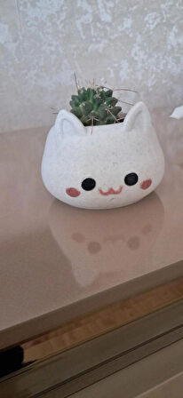 ALPAXA3D Kedi Figürlü Sukulent Saksısı Mermer Desenli