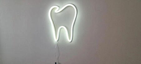 ALPAXA3D Diş Hekimlerine Özel Beyaz LED Işıklı Diş Figürü 30X26