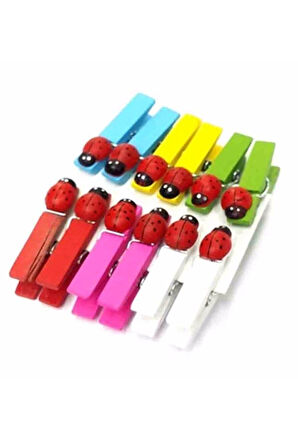 12'li Uğur Böcekli Mini Sunum Mandal MLN-30280