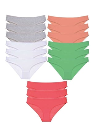 15 adet Süper Eko Set Likralı Kadın Slip Külot Gri Beyaz Pudra Yeşil Fuşya — Beden: L