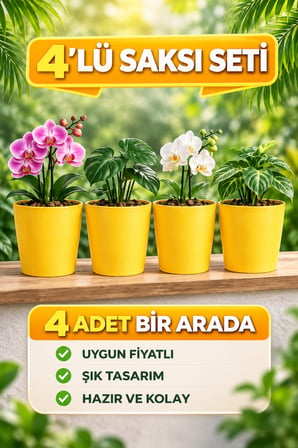 Dekoratif Sarı Orkide Saksısı - 4 Adet Set Fiyatlı - 12 Pot Üretim Saksısına Uygun Kaliteli Ürün