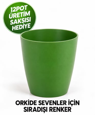 Orkide Saksısı Koyu Yeşil Dekoratif Dış Saksı 1 Adet- 12 Pot Şeffaf Orkide Üretim Saksısı Hediyeli