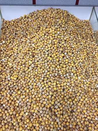 KÖY (AĞIN) TOPRAKTA KAVRULMUŞ LEBLEBİ (DOĞAL)