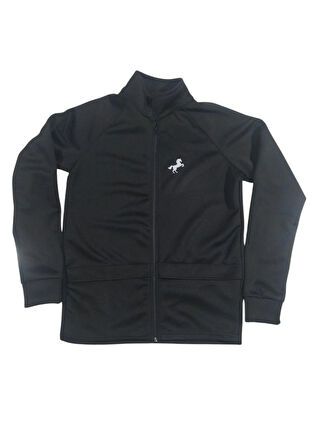 Attex Spor Polar