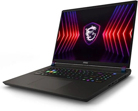 MSI Vector 17 HX A14VHG-838XTR i9-14900HX 32 GB 2 TB SSD RTX4080 17" Gaming Laptop