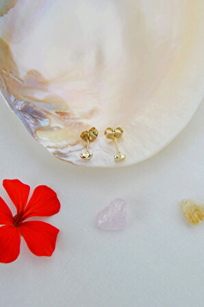 14K Altın Kaplama Mini Kalp Küpe – 4 mm Zarif Tasarım & Helix Uyumlu