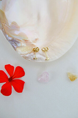 14K Altın Kaplama Mini Kalp Küpe – 4 mm Zarif Tasarım & Helix Uyumlu