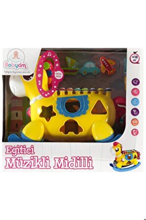 Eğitici Müzikli Midilli Bultak