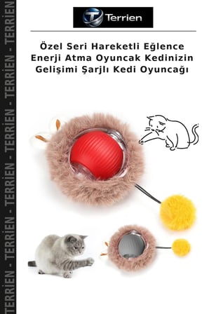 Özel Seri Hareketli Eğlence Enerji Atma Oyuncak Kedinizin Gelişimi Şarjlı Kedi Oyuncağı