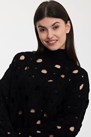ALEXANDERGARDI DELİKLİ TRİKO KAZAK(A92423-S)