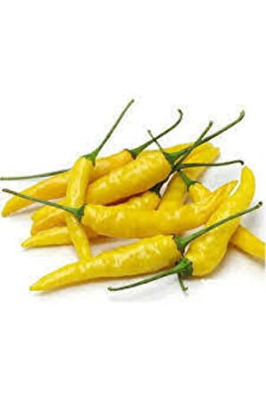25 Adet Turşuluk Sarı Yemelik Süs Biberi Tohumu