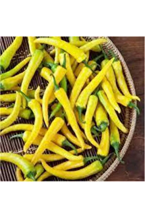 25 Adet Turşuluk Sarı Yemelik Süs Biberi Tohumu