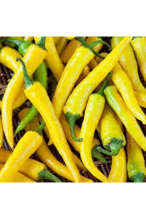25 Adet Turşuluk Sarı Yemelik Süs Biberi Tohumu