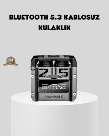 Gürültü Engelleyici Kablosuz Bluetooth Kulaklık – Oyun ve Müzik İçin Profes