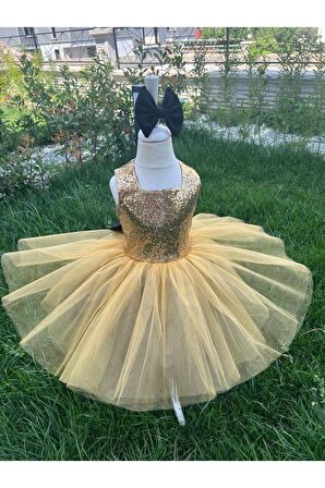 Kız Çocuk Gold Payet Detaylı Tüllü Kabarık Abiye Elbise