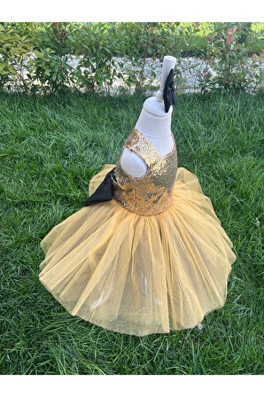 Kız Çocuk Gold Payet Detaylı Tüllü Kabarık Abiye Elbise