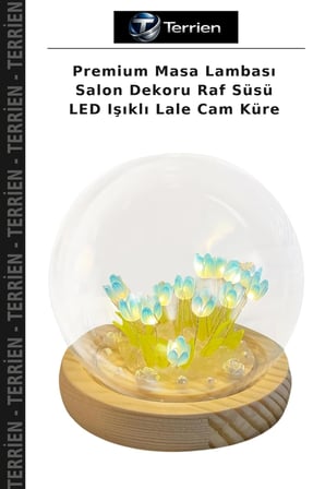 Premium Masa Lambası Salon Dekoru Raf Süsü LED Işıklı Lale Cam Küre