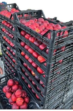 Meyve Istif Kasası Şeftali Elma Armut (20 Adet)