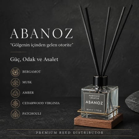 AKS - ABANOZ REED DIFFUSER / ODA KOKUSU (50 ML) - Alkolsüz özel formül