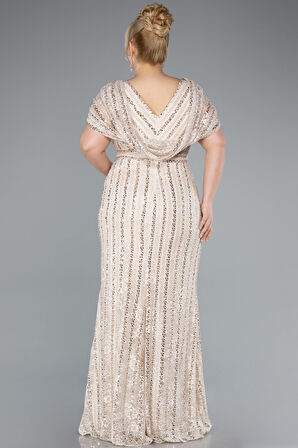 Dantel Uzun Büyük Beden Nişan Elbisesi ABU4948