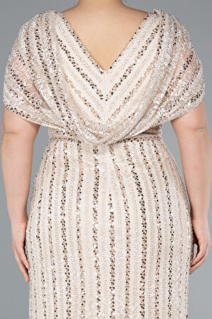 Dantel Uzun Büyük Beden Nişan Elbisesi ABU4948